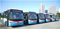 双线并进 融城提速：大泽湖片区新增W235、W236两条便民公交线路