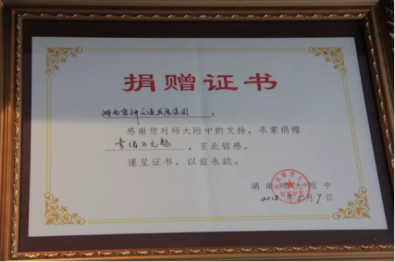 湖南望城县雷锋汽车运输有限公司,长沙城市交通,校车运营,安保服务,新能源科技