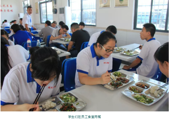 湖南望城县雷锋汽车运输有限公司,长沙城市交通,校车运营,安保服务,新能源科技